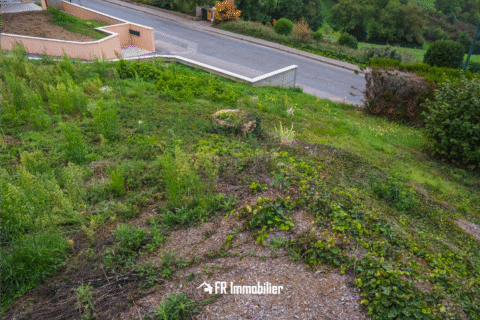 Saint-Martin-en-Haut